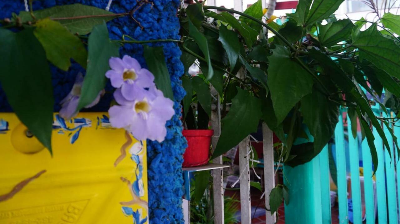 Hostel Tropico De Capricornio - Itagua Ubatuba Ngoại thất bức ảnh